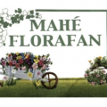MAHE FLORAFAN