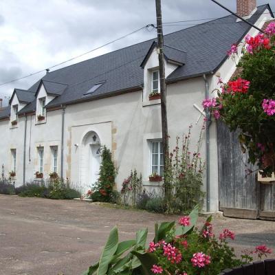 La carentinoise