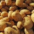 Pommes de terre